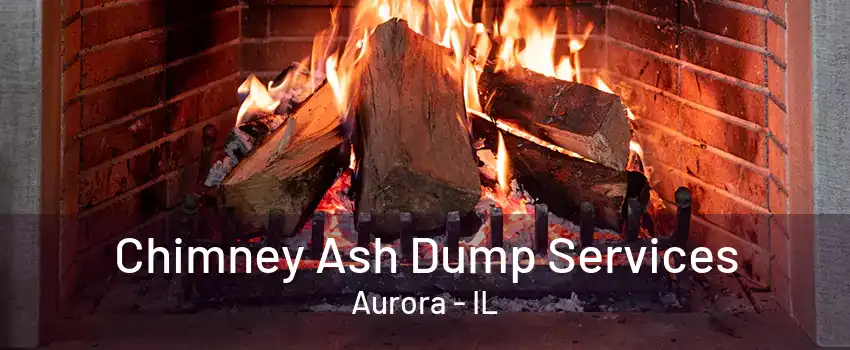 Chimney Ash Dump Services Aurora - IL